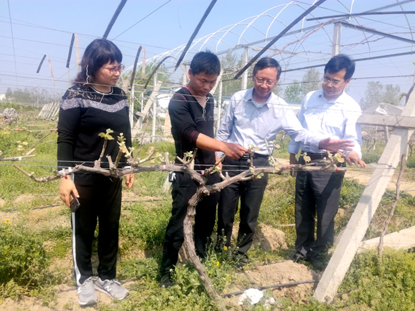国产成人精品一区二区三区