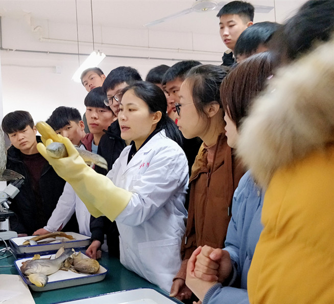 国产成人精品一区二区三区