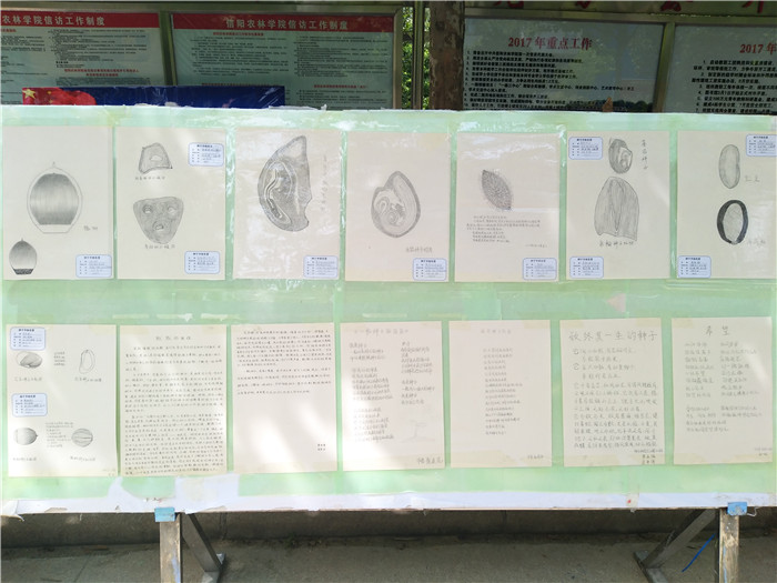 国产成人精品一区二区三区