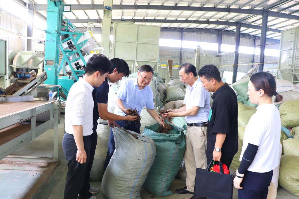 国产成人精品一区二区三区