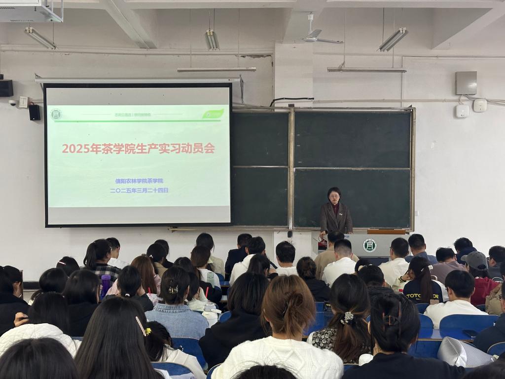 国产成人精品一区二区三区