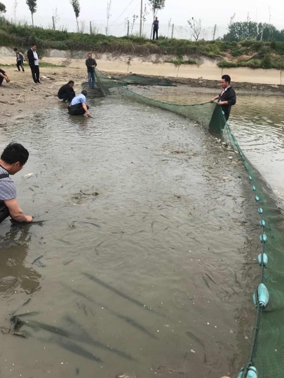 国产成人精品一区二区三区