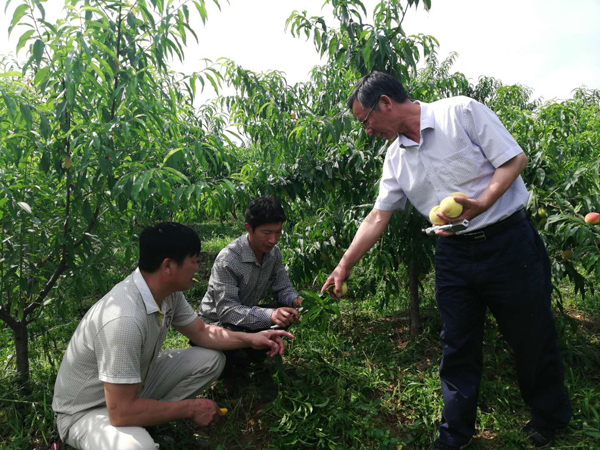 国产成人精品一区二区三区