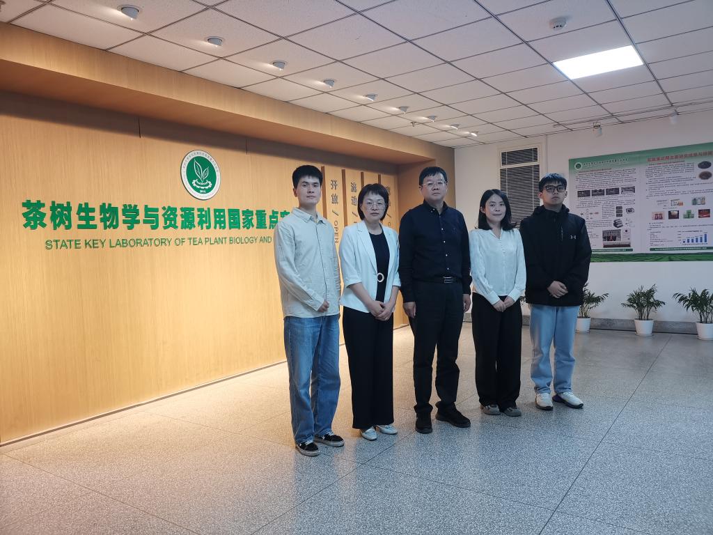 国产成人精品一区二区三区