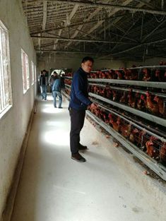 国产成人精品一区二区三区
