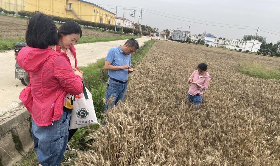 国产成人精品一区二区三区
