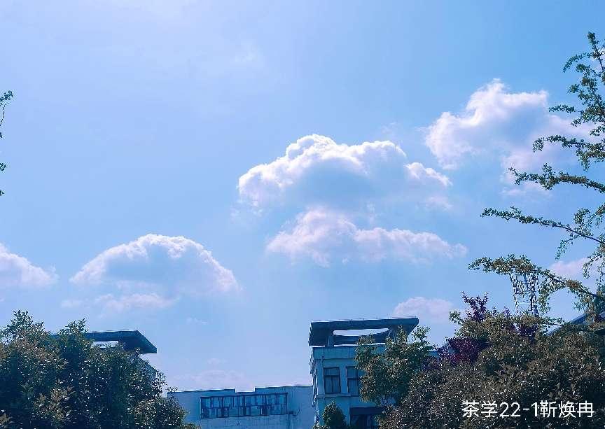 国产成人精品一区二区三区