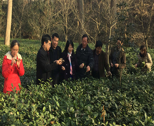 国产成人精品一区二区三区