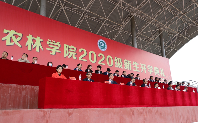 国产成人精品一区二区三区