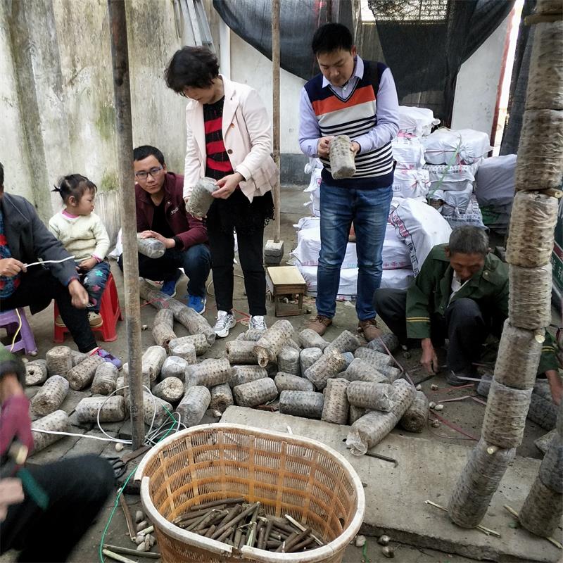 国产成人精品一区二区三区