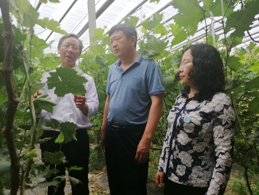 国产成人精品一区二区三区