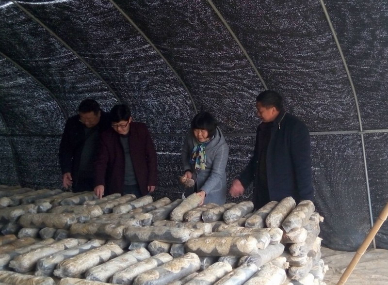 国产成人精品一区二区三区