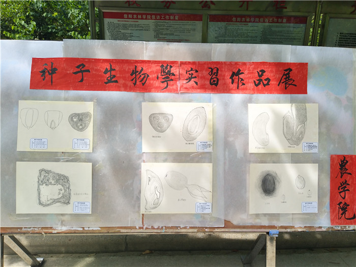 国产成人精品一区二区三区