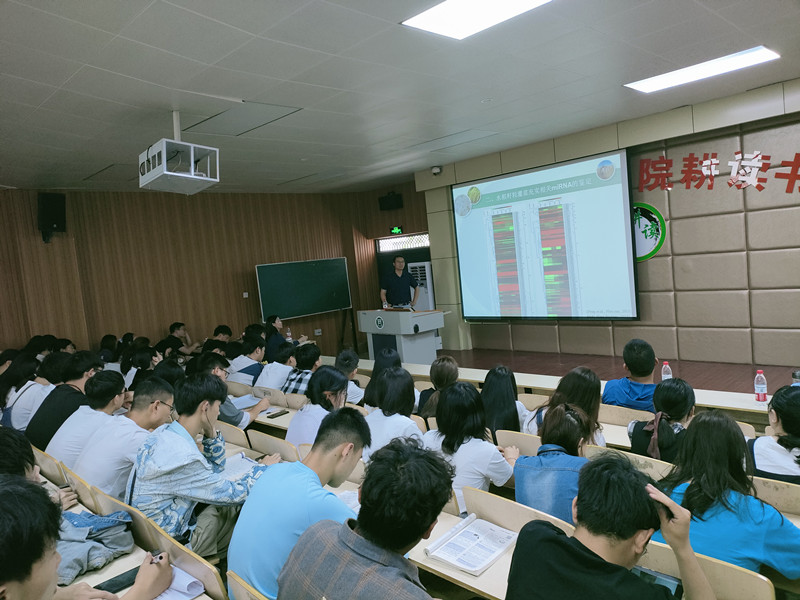 国产成人精品一区二区三区