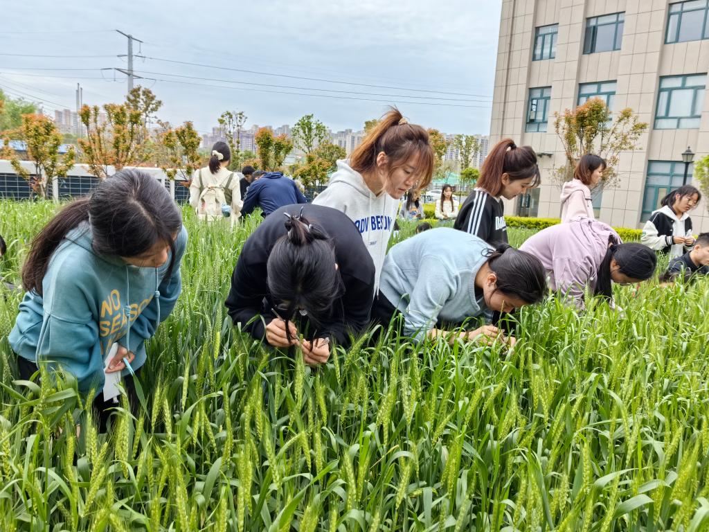国产成人精品一区二区三区