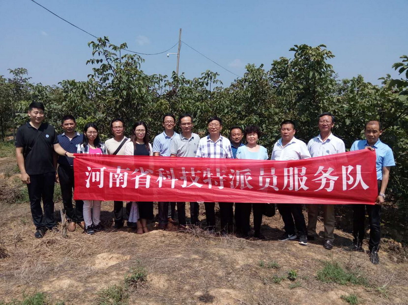 国产成人精品一区二区三区