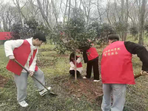国产成人精品一区二区三区