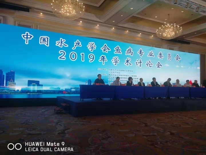 国产成人精品一区二区三区