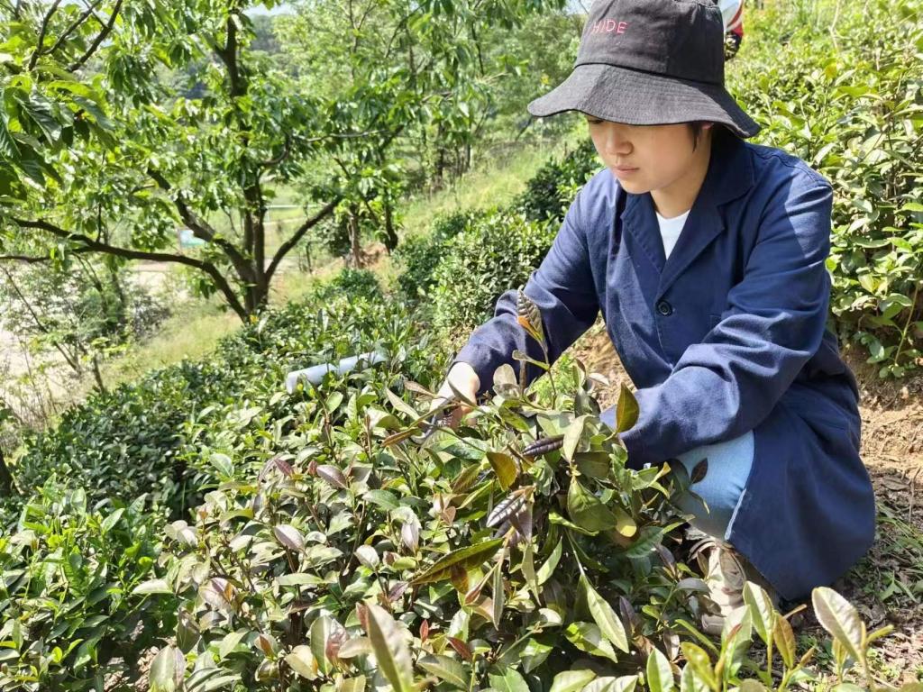 国产成人精品一区二区三区