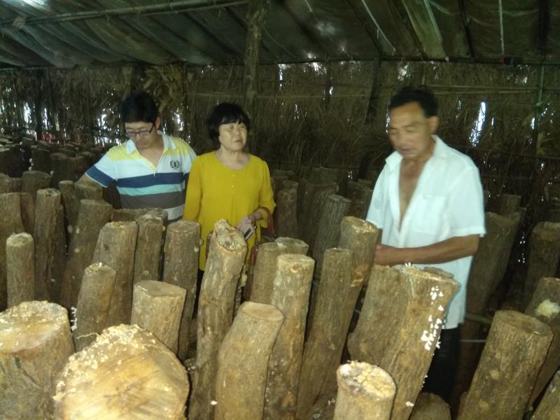国产成人精品一区二区三区