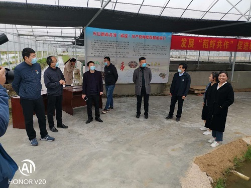 国产成人精品一区二区三区