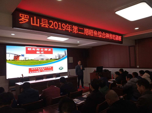 国产成人精品一区二区三区