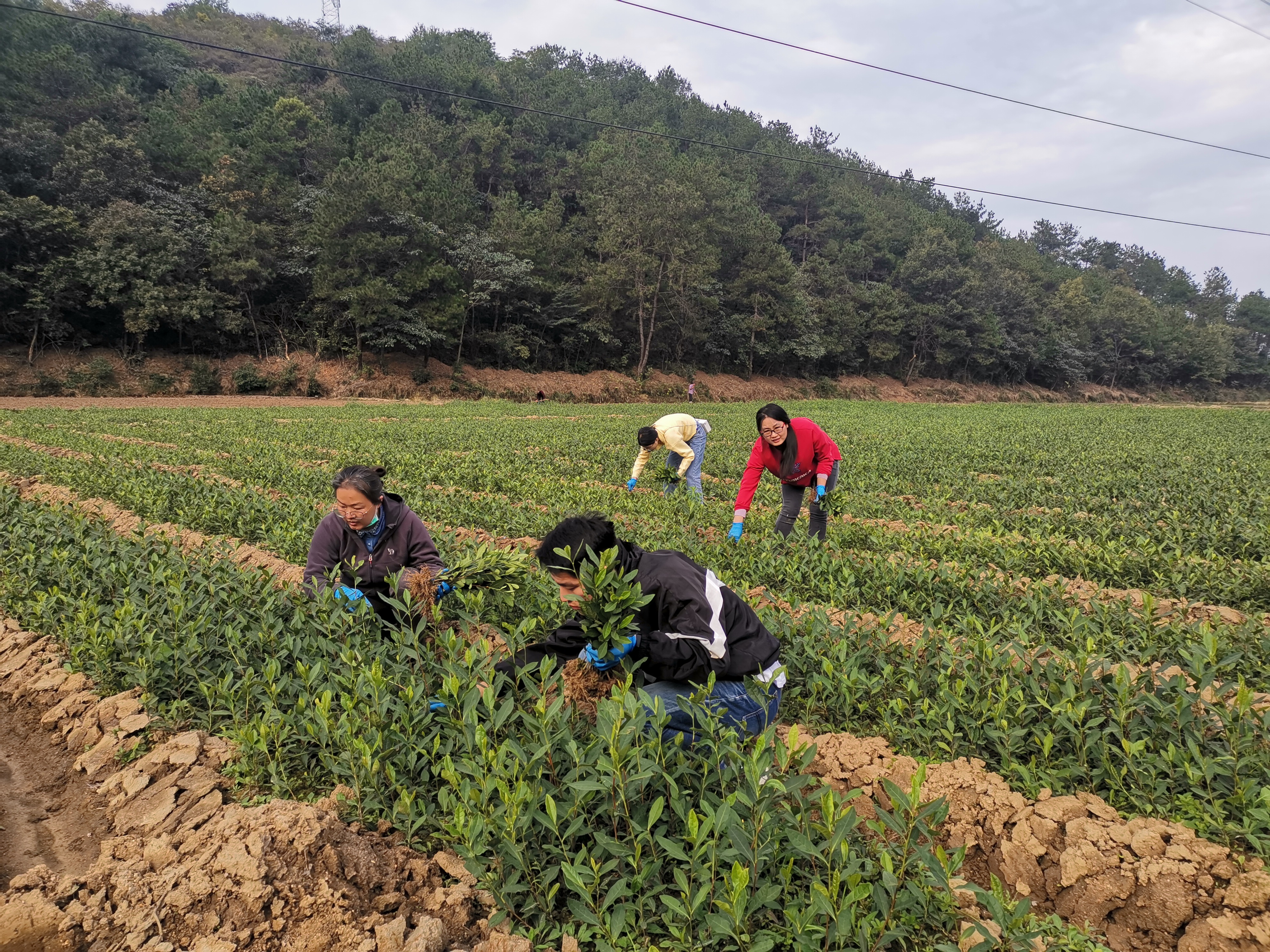 国产成人精品一区二区三区