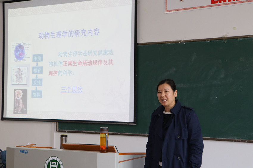 国产成人精品一区二区三区