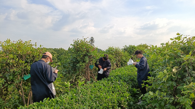 国产成人精品一区二区三区