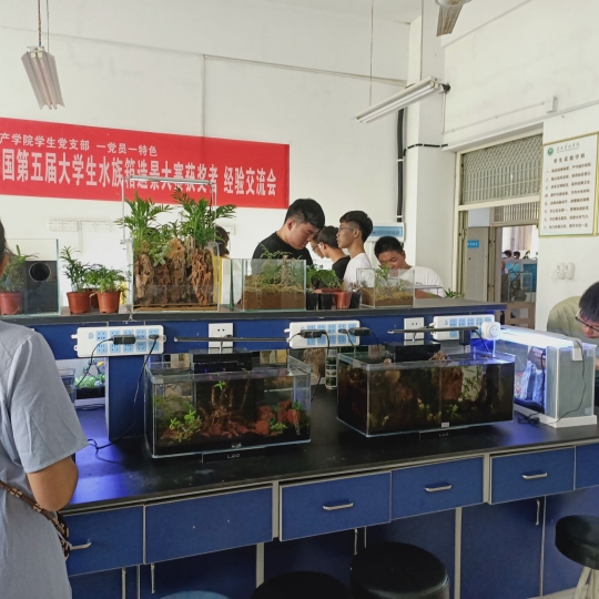 国产成人精品一区二区三区