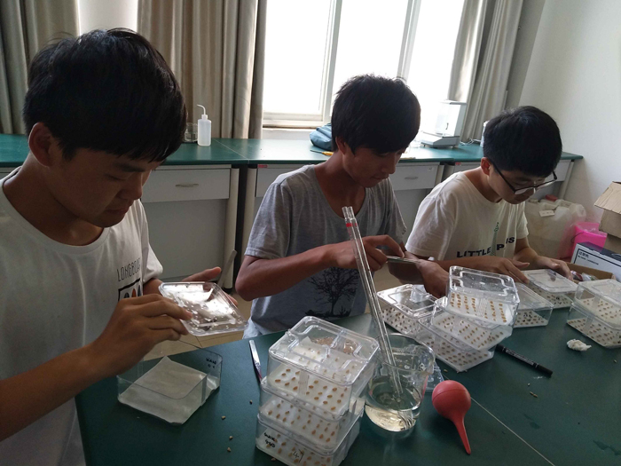 国产成人精品一区二区三区