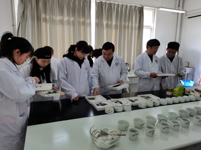 国产成人精品一区二区三区