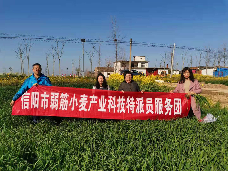 国产成人精品一区二区三区