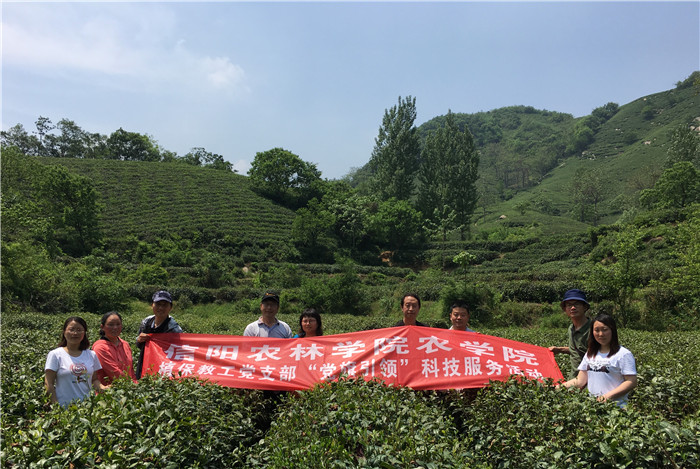 国产成人精品一区二区三区