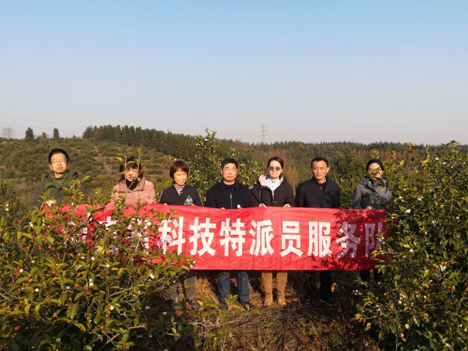 国产成人精品一区二区三区