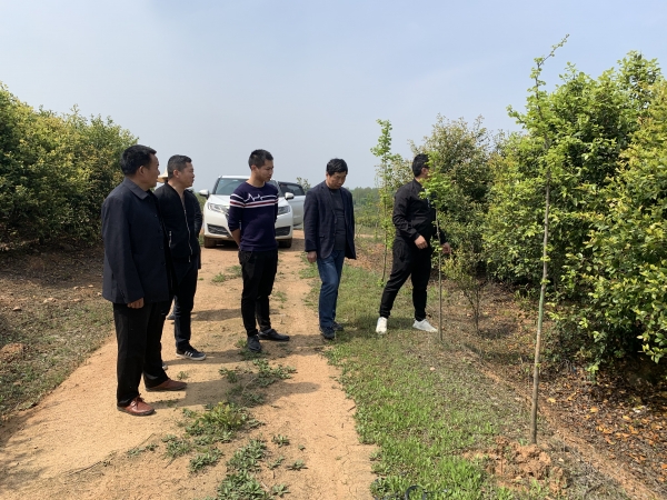 国产成人精品一区二区三区