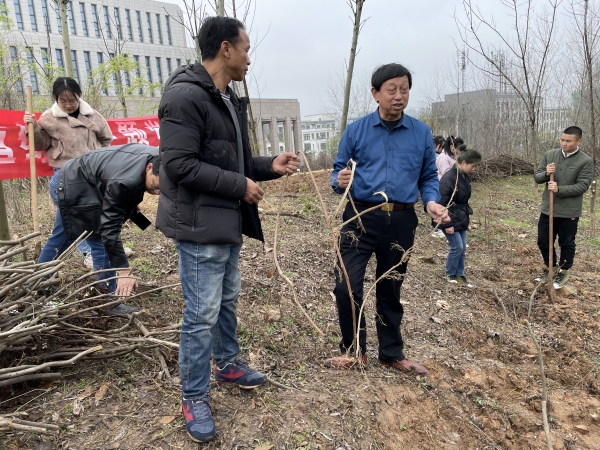 国产成人精品一区二区三区