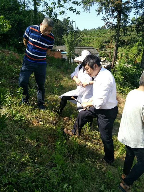 国产成人精品一区二区三区