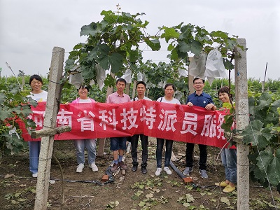 国产成人精品一区二区三区