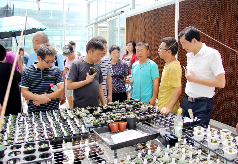 国产成人精品一区二区三区