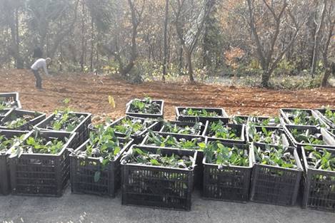 国产成人精品一区二区三区