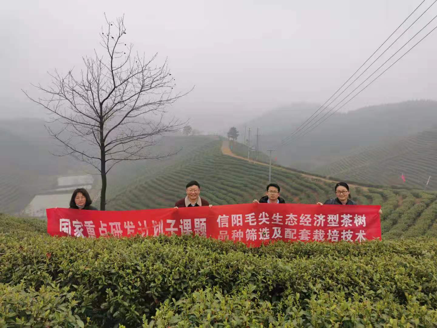 国产成人精品一区二区三区