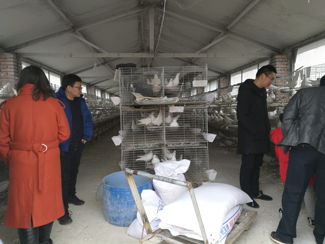 国产成人精品一区二区三区