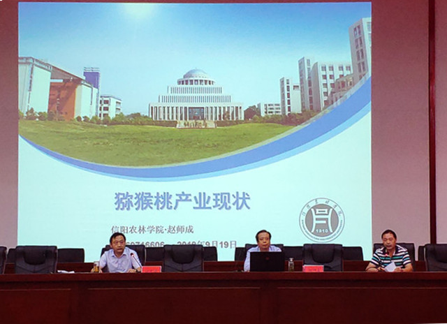 国产成人精品一区二区三区