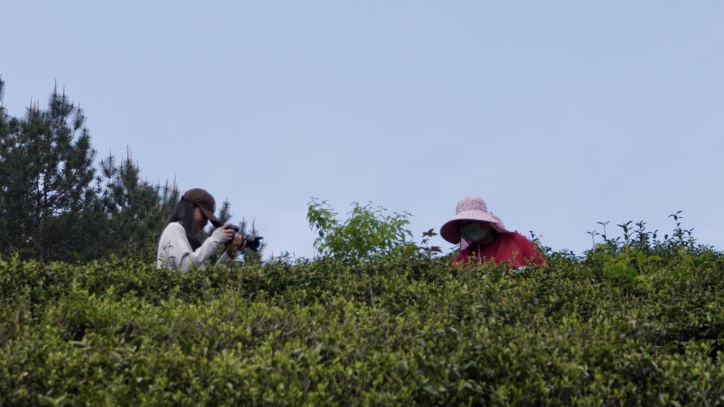 国产成人精品一区二区三区