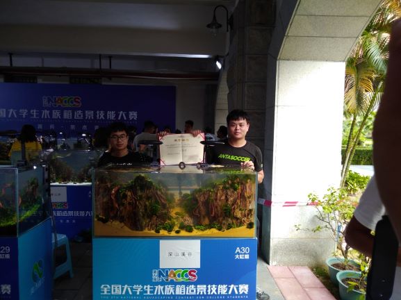 国产成人精品一区二区三区