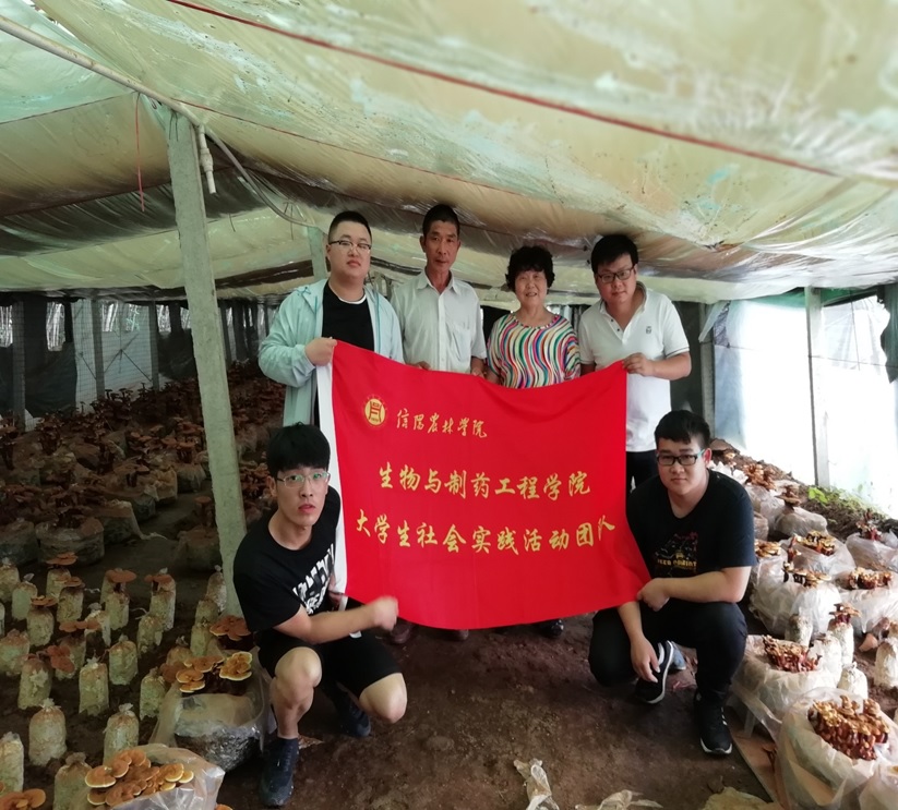 国产成人精品一区二区三区