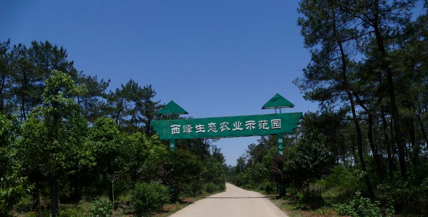 国产成人精品一区二区三区
