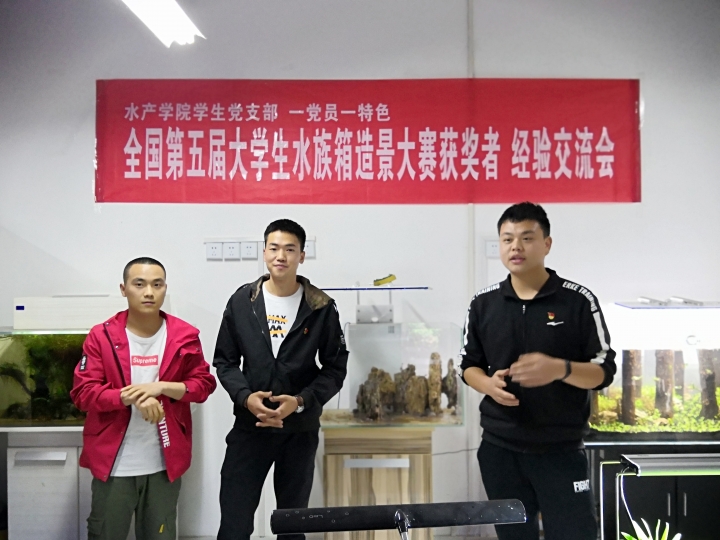 国产成人精品一区二区三区