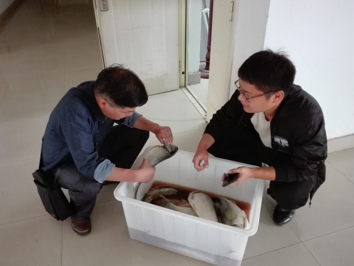 国产成人精品一区二区三区
